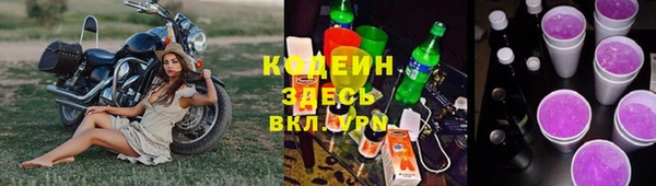 прущие грибы Аркадак