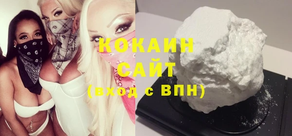 прущие грибы Аркадак