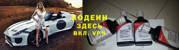 прущие грибы Аркадак