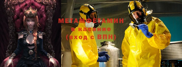 прущие грибы Аркадак