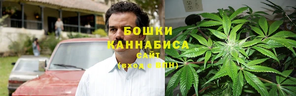 прущие грибы Аркадак