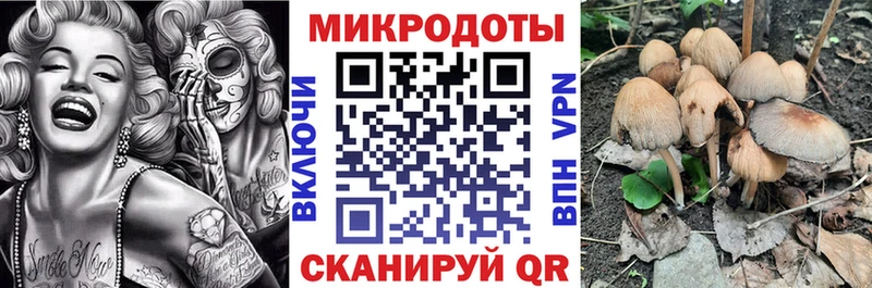 дарнет шоп  Светлый  Псилоцибиновые грибы Cubensis 