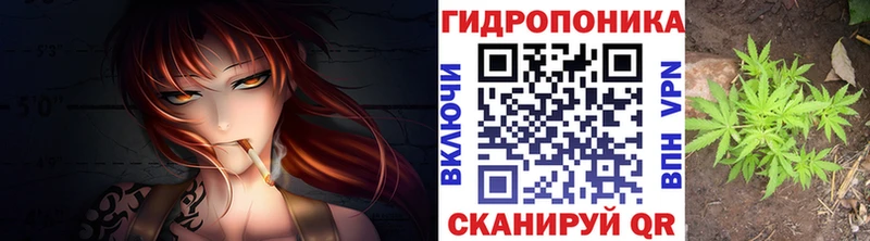 omg маркетплейс Светлый Канабис индика купить закладку